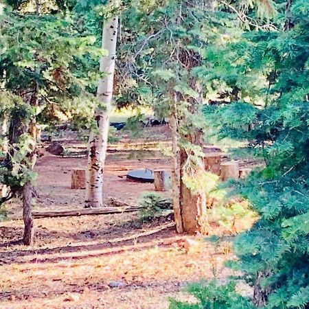 Adventure Awaits 3King Bed,2Bath Log Cabin In Heart Of Duck Creek Village! Exterior photo