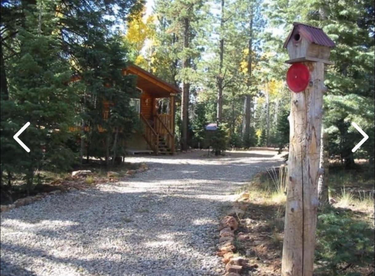 Adventure Awaits 3King Bed,2Bath Log Cabin In Heart Of Duck Creek Village! Exterior photo